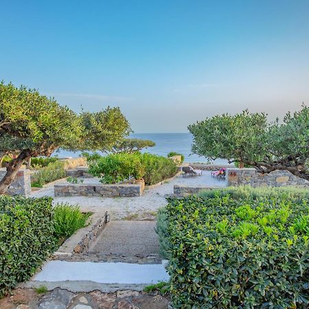 Ferma Solaris Apartments Agia Fotia (Ierapetra) Exterior foto