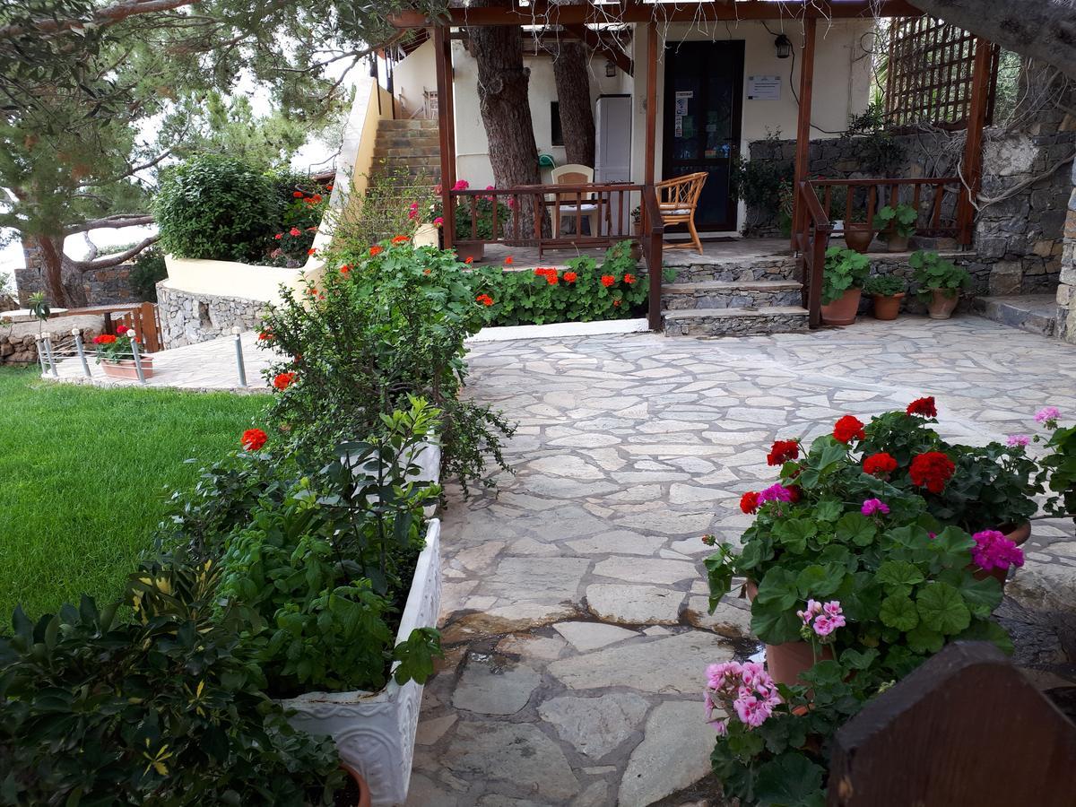 Ferma Solaris Apartments Agia Fotia (Ierapetra) Exterior foto