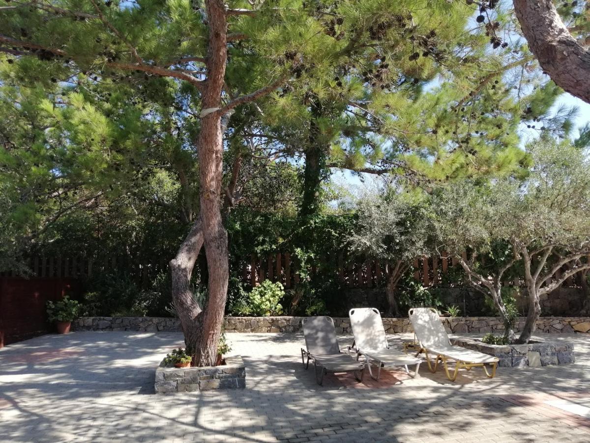 Ferma Solaris Apartments Agia Fotia (Ierapetra) Exterior foto